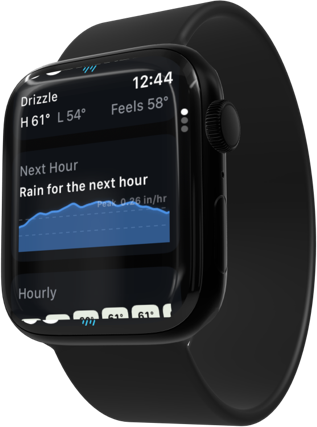 GrayCloud on Apple Watch showing the next-hour rain forecast